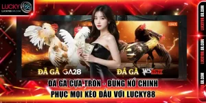 Đá gà cựa tròn